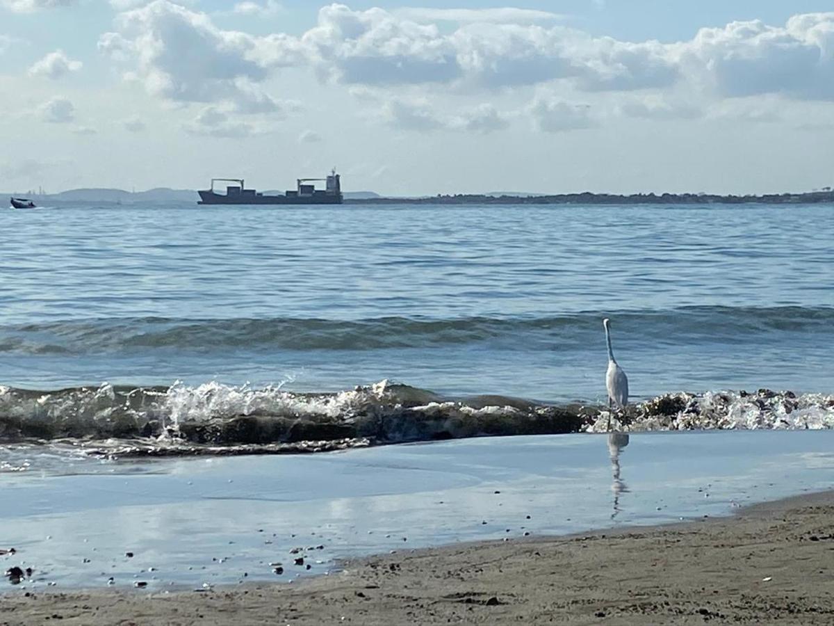 Apto Exclusivo En Bocagrande Frente Al Mar Cartagena Exterior foto